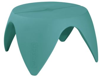 TABLE Flora