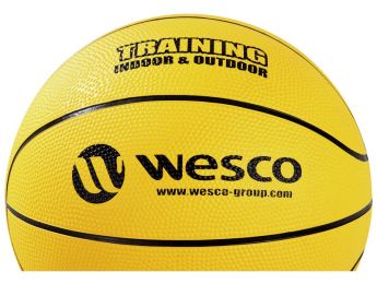 BALLON DE BASKETBALL Training Indoor - Outdoor