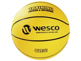BALLON DE BASKETBALL Training Indoor - Outdoor Taille 5