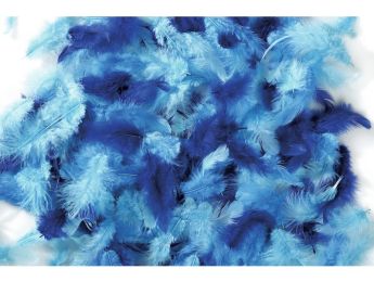 PLUMES DUVET