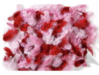 PLUMES DUVET