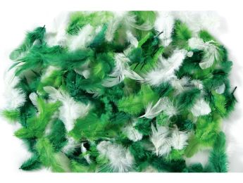 PLUMES DUVET