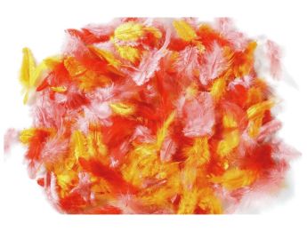 PLUMES DUVET