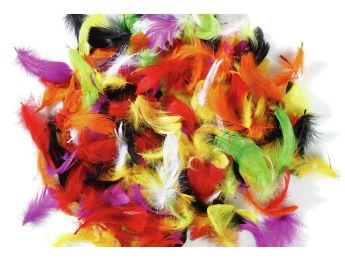 PLUMES DUVET