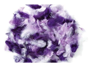 PLUMES DUVET