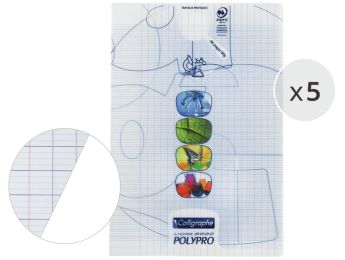 LOT DE 5 CAHIERS TP POLYPRO 21x29,7 cm - 96 pages Séyès - Uni