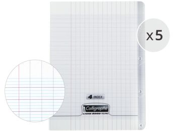 LOT DE 5 CAHIERS POLYPRO 4 index 17x22 cm - 140 pages