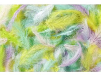PLUMES DUVET PASTEL
