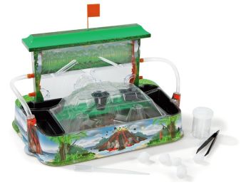 THE ANT KINGDOM