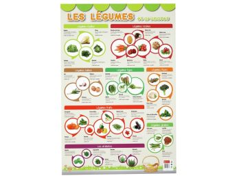 POSTER ÉDUCATIF Les légumes et aromates