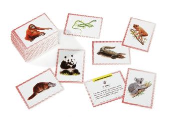 100 BONS POINTS Animaux sauvages