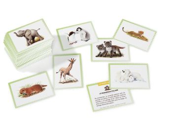 100 BONS POINTS Bébés animaux