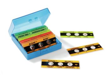 PREPARED MICROSCOPE SLIDES