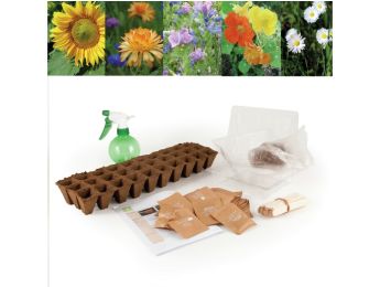 SET SAMEN Blumen