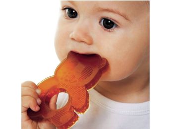 HOCHET DE DENTITION Ours