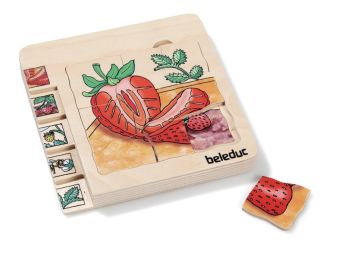 LIFE CYCLE PUZZLE Fruits The strawberry