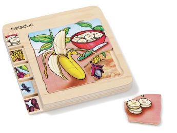 LIFE CYCLE PUZZLE Fruits The banana