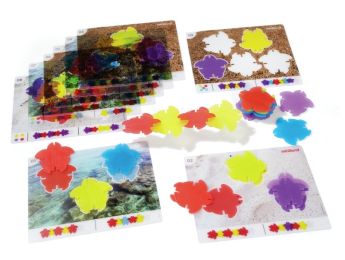 JOGO DE ASSOCIAÇÃO TARTARUGAS TRANSPARENTES