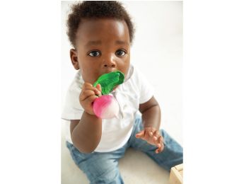 HOCHET DE DENTITION Radis