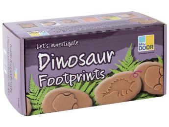 TACTILE PRINTING PEBBLES Dinosaurs