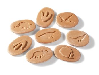 GALETS TACTILES EMPREINTES Dinosaures