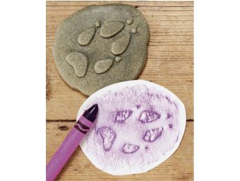 TAKTILE KIESELSTEINE FINGERABDRÜCKE Waldtiere