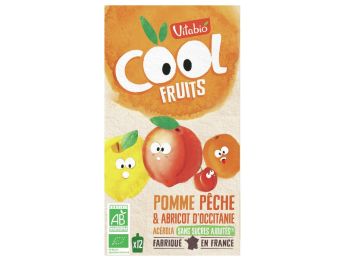 GOURDE DE FRUIT BIO Pomme, pêche et abricot 12 x 90 g
