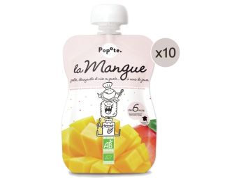 MAXI LOT GOURDES MONOSAVEUR BIO - Mangue 10 x 120 g
