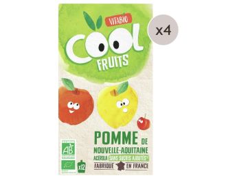 MAXI LOT GOURDES DE FRUIT BIO Pomme, acérola - 48 x 90 g