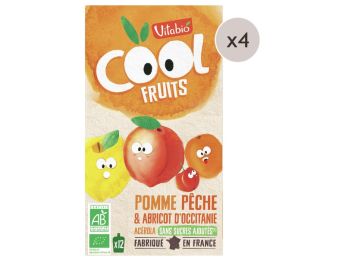MAXI LOT GOURDES DE FRUIT BIO Pomme, pêche et abricot 48 x 90 g