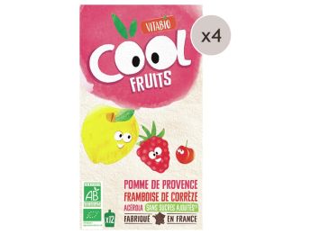 MAXI LOT GOURDES DE FRUIT BIO Pomme, framboise et acérola - 48 x 90 g