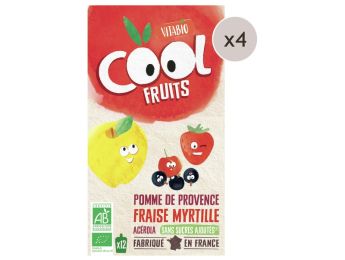 MAXI LOT GOURDES DE FRUIT BIO Pomme, fraise, myrtille - 48 x 90 g