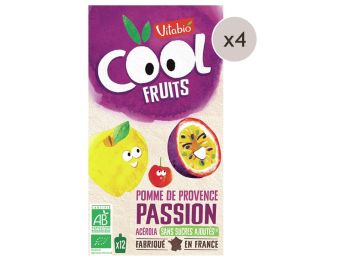MAXI LOT GOURDES DE FRUIT BIO Pomme, passion - 48 x 90 g