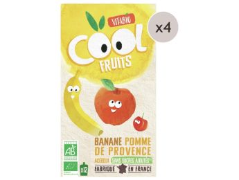 MAXI LOT GOURDES DE FRUIT BIO Pomme, banane - 48 x 90 g
