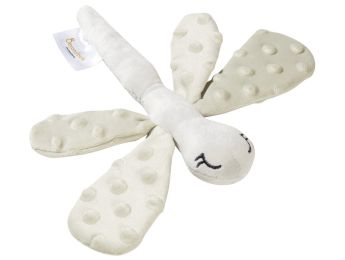 LIBELLULE SENSORIELLE