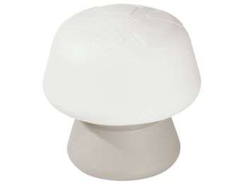 CHAMPIGNON D'ÉQUILIBRE