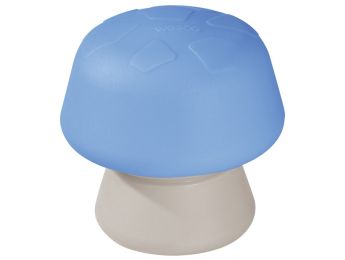 CHAMPIGNON D'ÉQUILIBRE