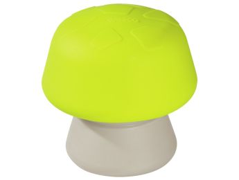 CHAMPIGNON D'ÉQUILIBRE