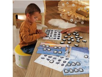 INITIATION AU CODAGE Galets pingouins et cartes