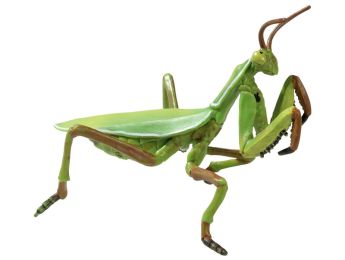 FIGURINE PRAYING MANTIS