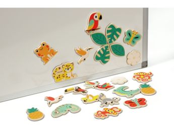 MAGNETS Tropicaux