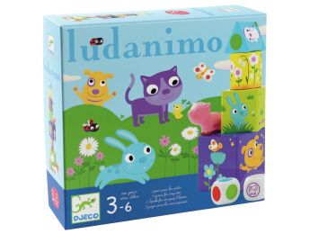 COFFRET 3 JEUX Ludanimo