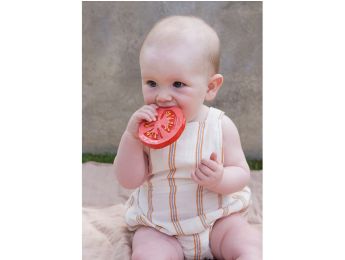 HOCHET DE DENTITION Tomate