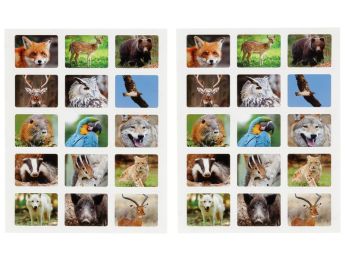 GOMMETTES PHOTOS Animaux de la forêt