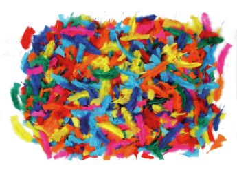 PLUMES DUVET Colorées