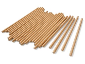 VAISSELLE FANTAISIE Pailles en papier