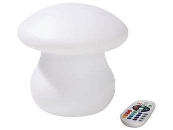 KLEINE LICHTGEVENDE PADDENSTOEL