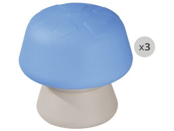 CHAMPIGNONS D'ÉQUILIBRE