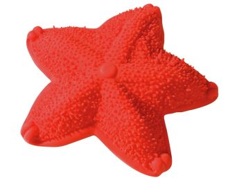 HOCHET DE DENTITION Étoile de mer