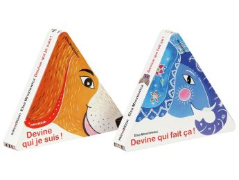 MAXI LOT LIVRES TRIANGLES